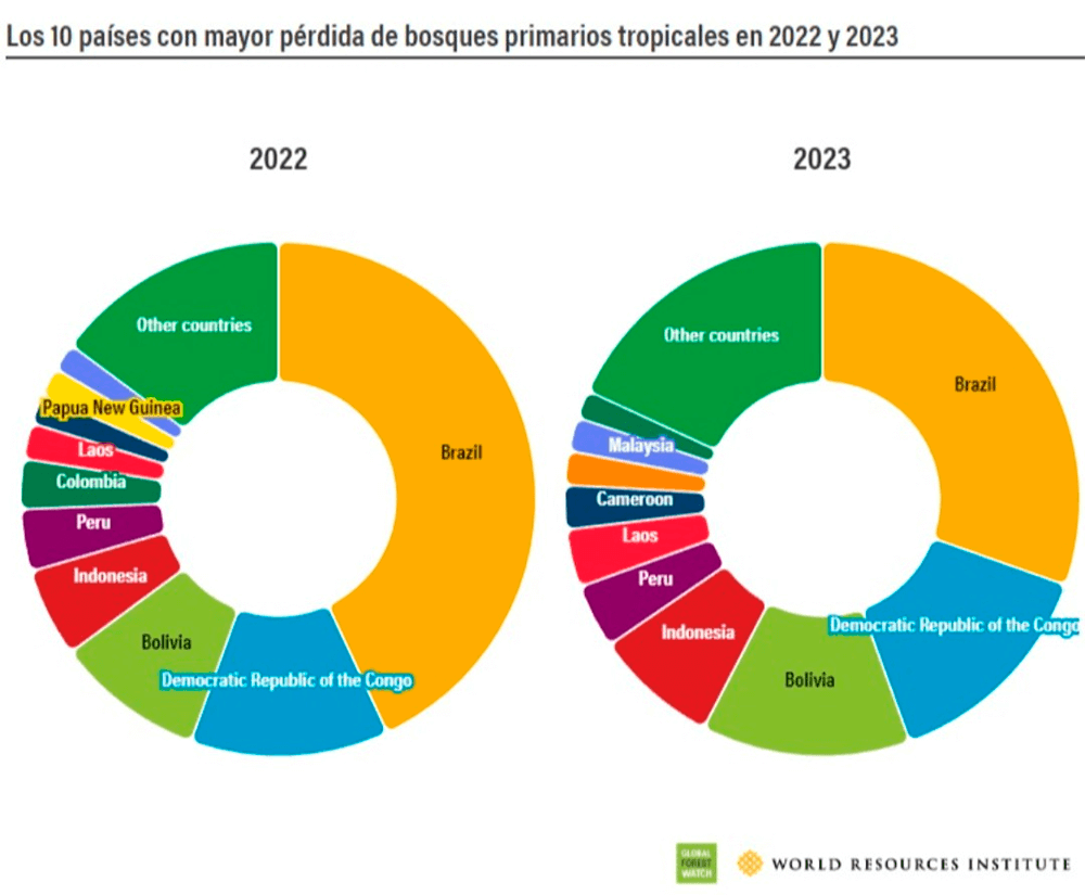 Los 10 países con mayor pérdida de bosques primarios tropicales en 2022 y 2023