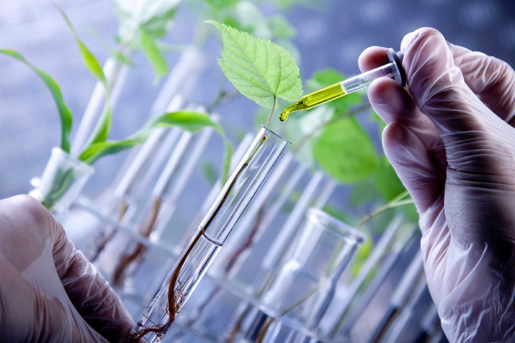 Biotecnologia Agrícola en Bolivia
